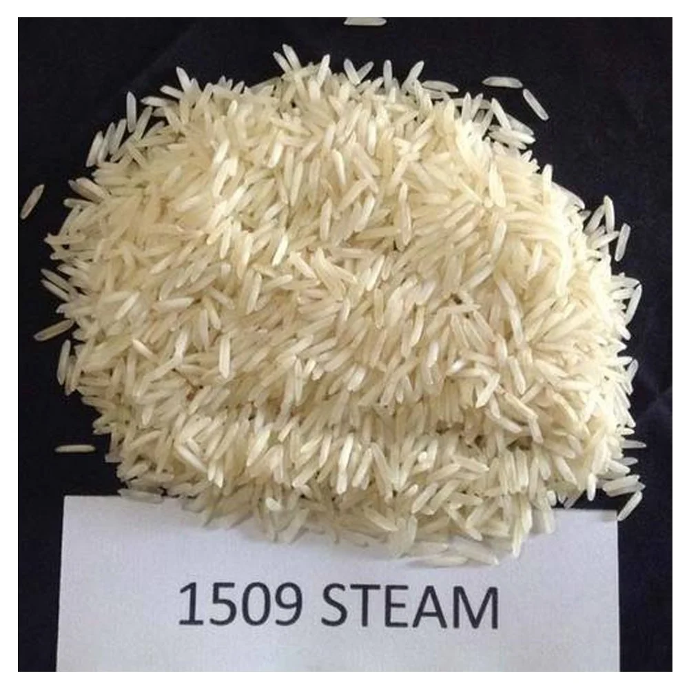 1509 Steam
