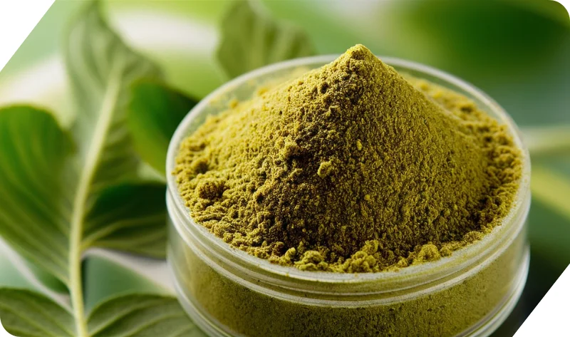 Kasturi Methi Powder