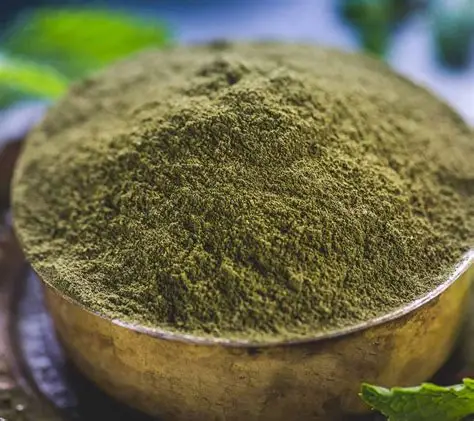 Pudina Powder