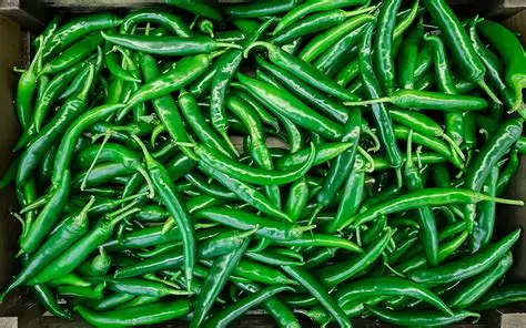 Green Chilli