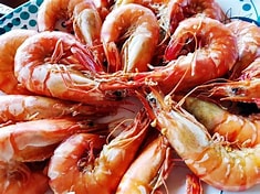 Prawns